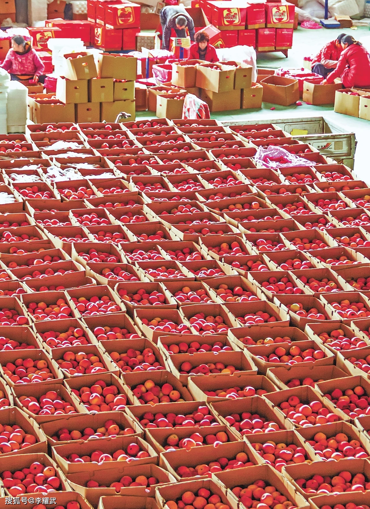 1611560583160337.jpeg 图片03.jpeg