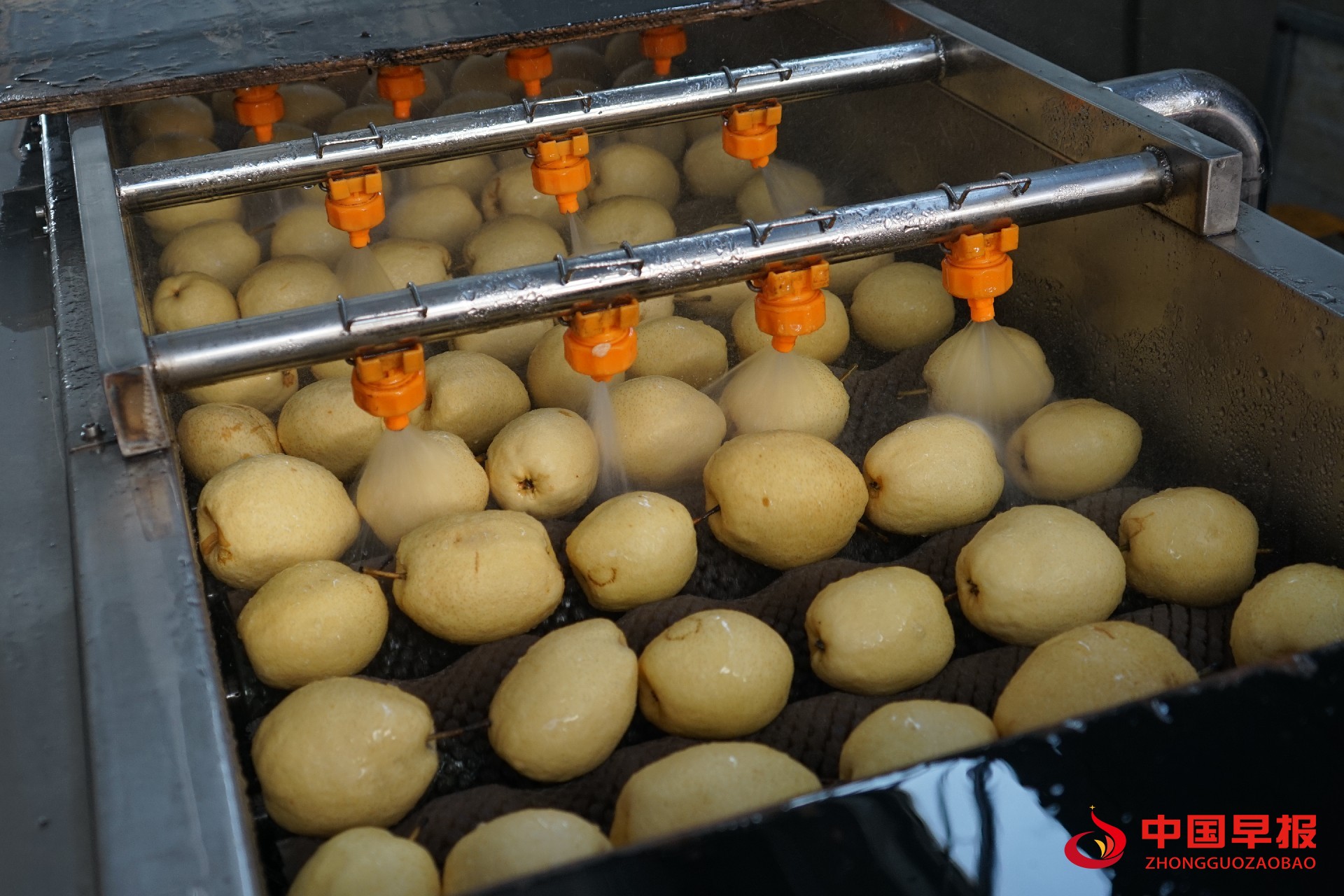 1613357936145257.jpg 图片07.jpg