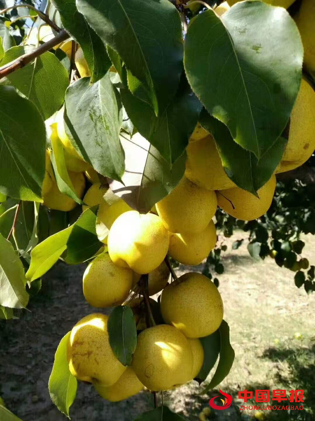 1613358430526212.jpg 图片010.jpg