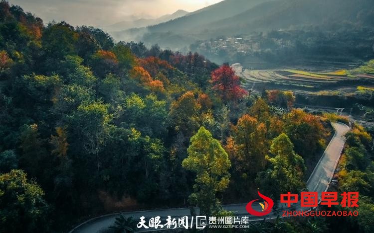 （中首）贵州望谟：好一幅山乡油画