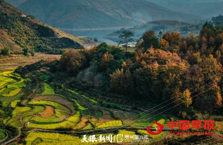 （中首）贵州望谟：好一幅山乡油画