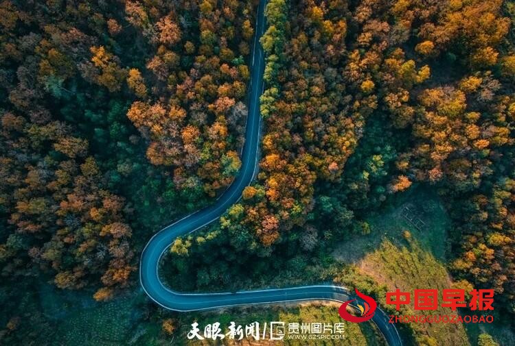 （中首）贵州望谟：好一幅山乡油画