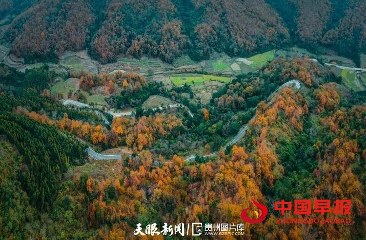 （中首）贵州望谟：好一幅山乡油画