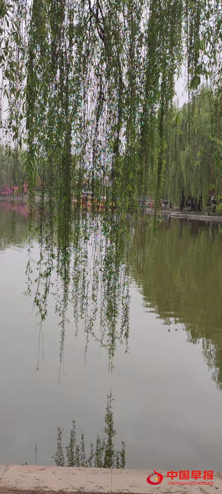 1648963357545782.jpg 1648963357545782.jpg