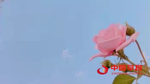 1648963441309308.jpg 1648963441309308.jpg