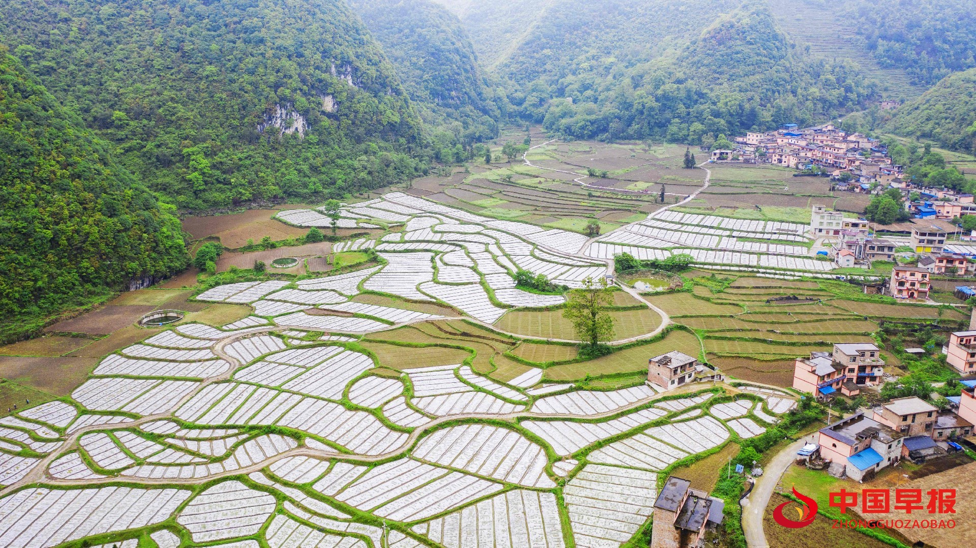 1651151235902612.jpg 微信图片_20220428113001.jpg