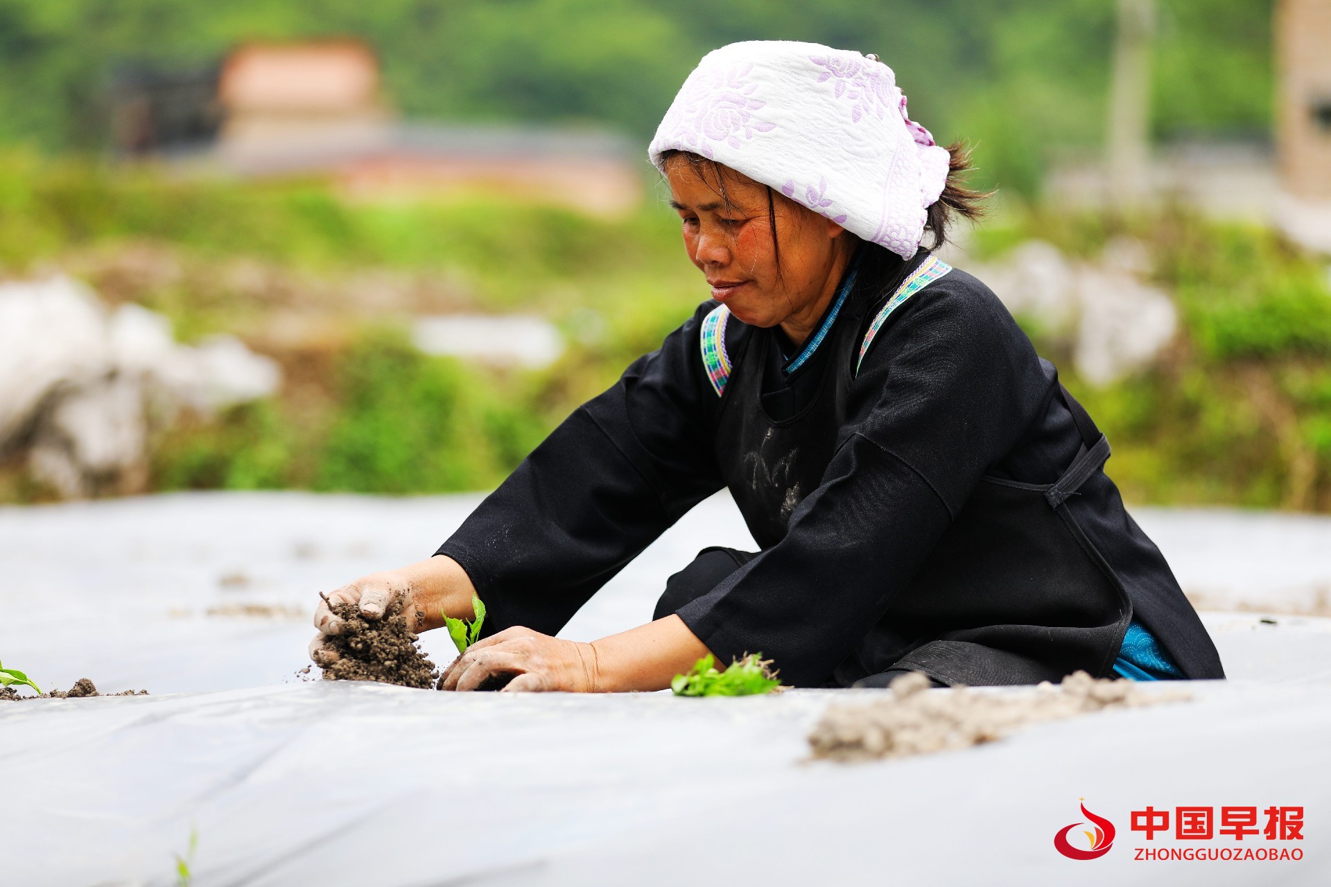 1651151502347242.jpg 微信图片_20220428112932.jpg