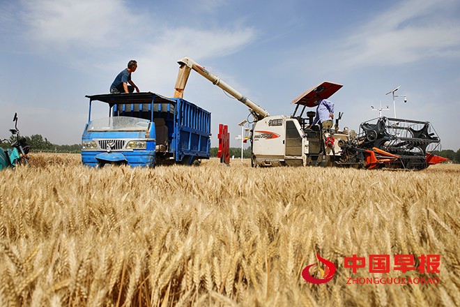 2022年6月6日，河南省开封市尉氏县张市镇沈家村的村民在本镇万亩高标准农田抢收小麦、及时浇灌土地播种农作物。 (7).jpg