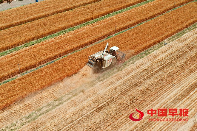 2022年6月6日，河南省开封市尉氏县张市镇沈家村的村民在本镇万亩高标准农田抢收小麦、及时浇灌土地播种农作物。 (4).jpg