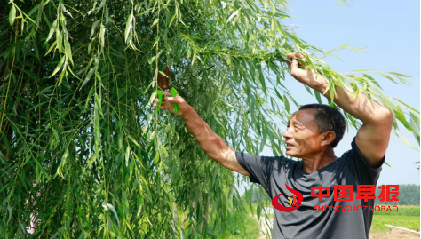 1660261705990706.jpg 1660261074093.jpg