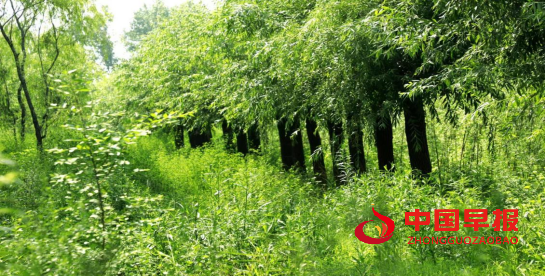 1660261739119812.jpg 1660261137258.jpg