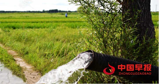 1661240873115868.jpg 1661236744925_副本.jpg