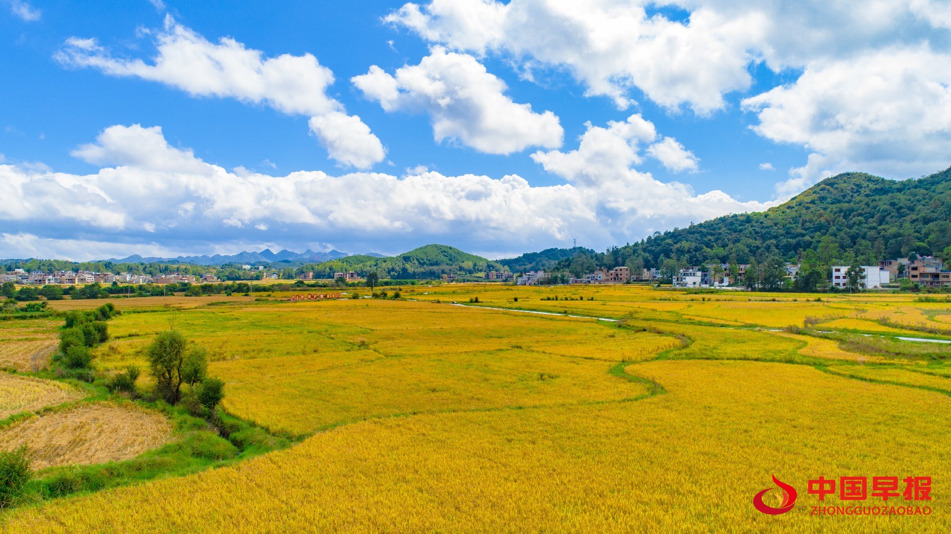 1695181594327244.jpg 1695181594327244.jpg