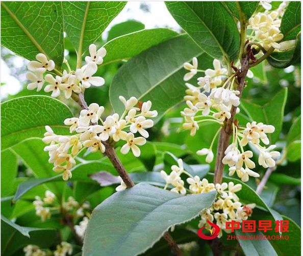 1698225424127124.png QQ图片20231025165856.png