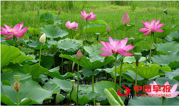 1708132035508049.png QQ图片20240217090504.png