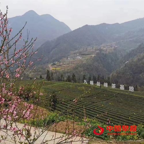 19542480958221180_5.jpg 19542480958221180_5.jpg