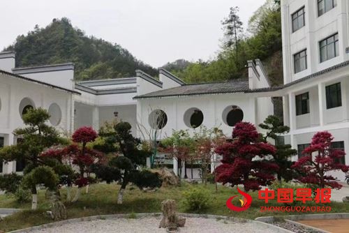 19545714277876751_5.jpg 19545714277876751_5.jpg