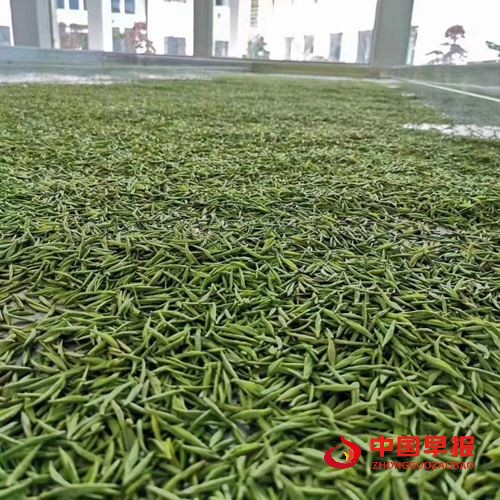 19555523195638776_5.jpg 19555523195638776_5.jpg