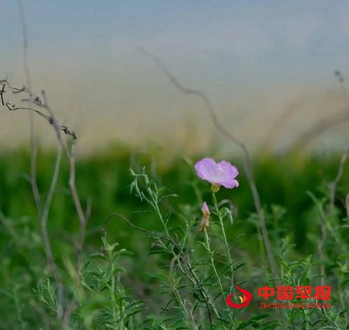 21431791506179511_5.jpg 21431791506179511_5.jpg