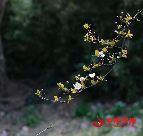 21433235203946374_5.jpg 21433235203946374_5.jpg