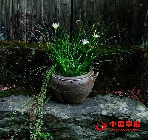 21440038244986194_5.jpg 21440038244986194_5.jpg