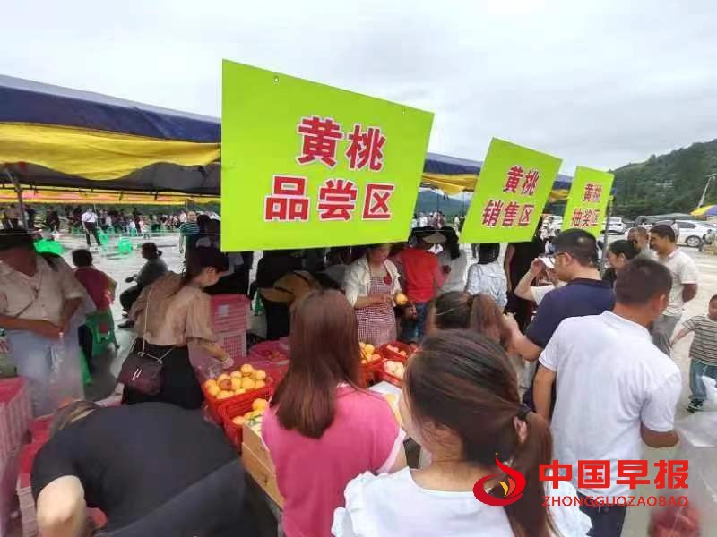 1719218515485891.jpg 1719218515485891.jpg