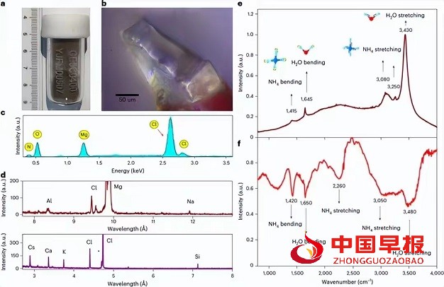 1721784335639292.jpg 微信图片_20240724091906.jpg