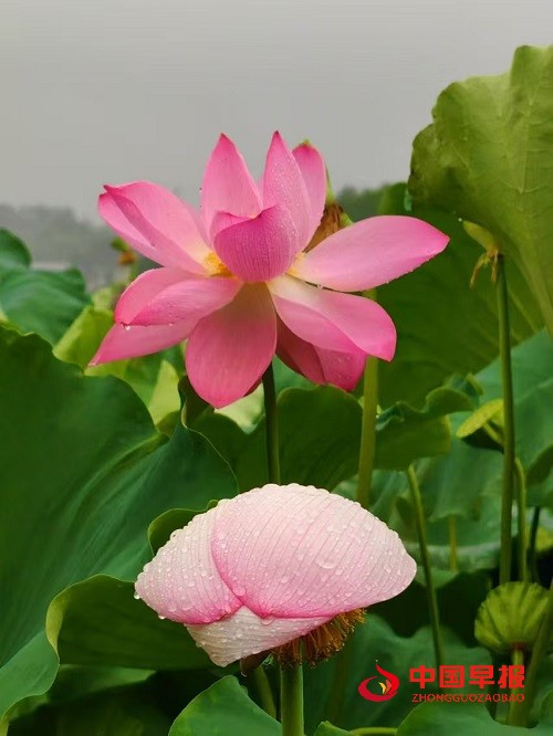 1723727274178392.jpg 微信图片_20240815205605.jpg