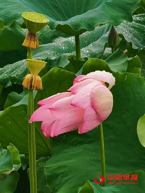 1723727316756031.jpg 微信图片_20240815205614.jpg