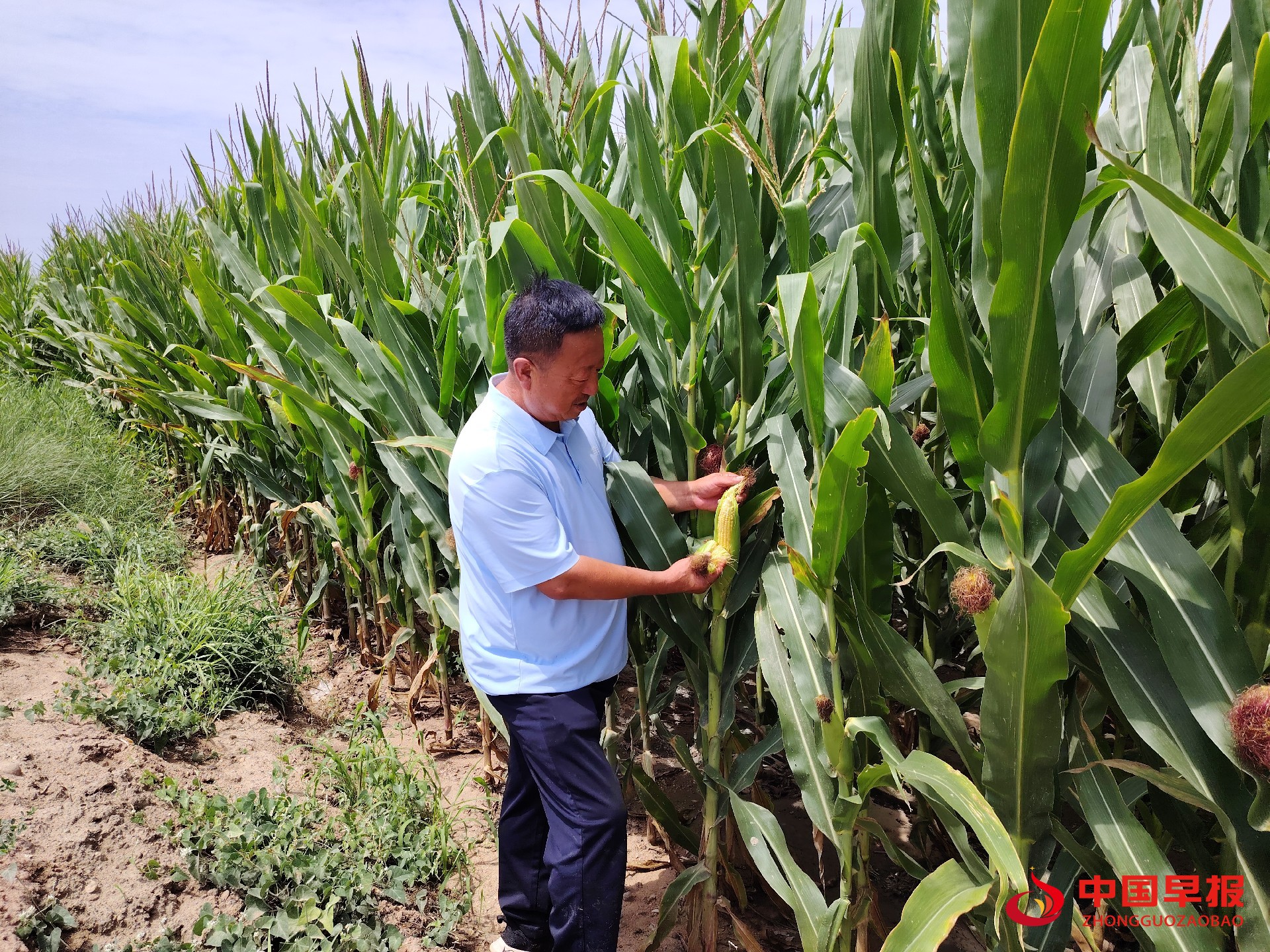 1723775110358422.jpg 图片01.jpg