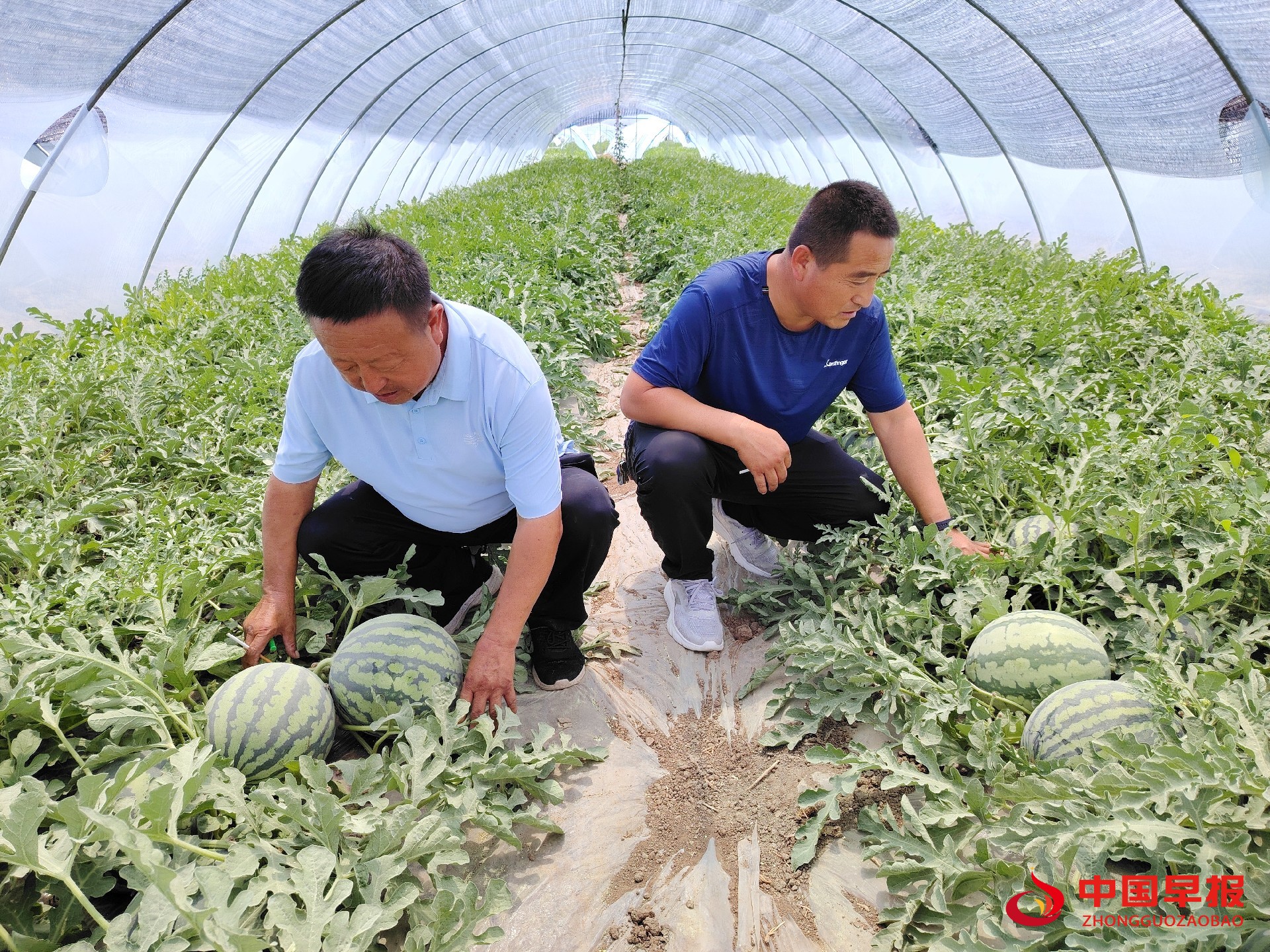 1723775364643618.jpg 图片02.jpg