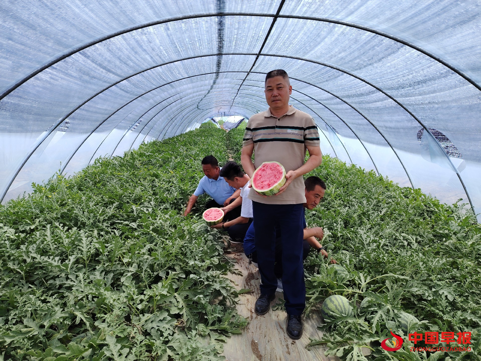 1723775434136933.jpg 图片03.jpg