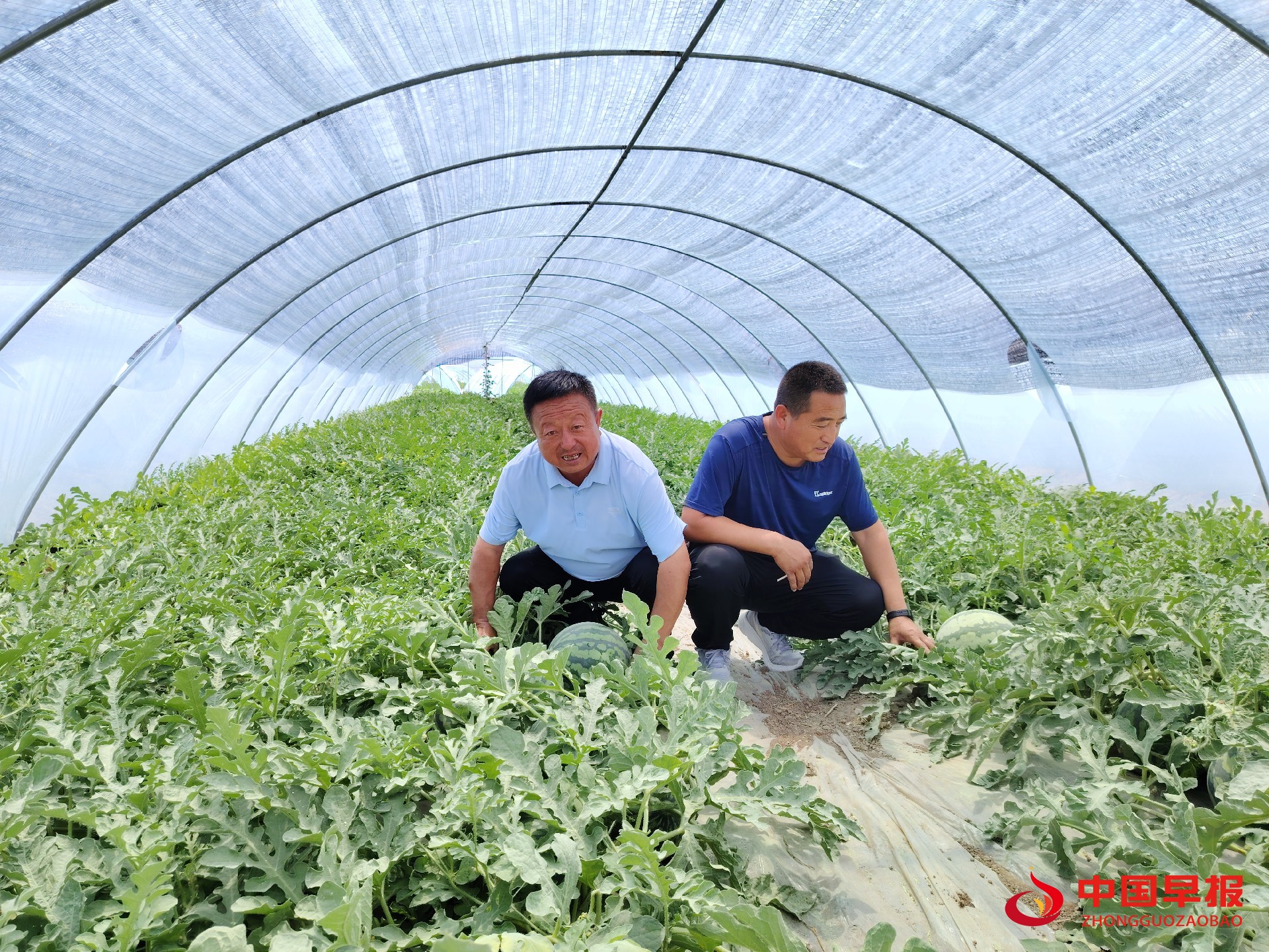 1723775505237272.jpg 图片04.jpg