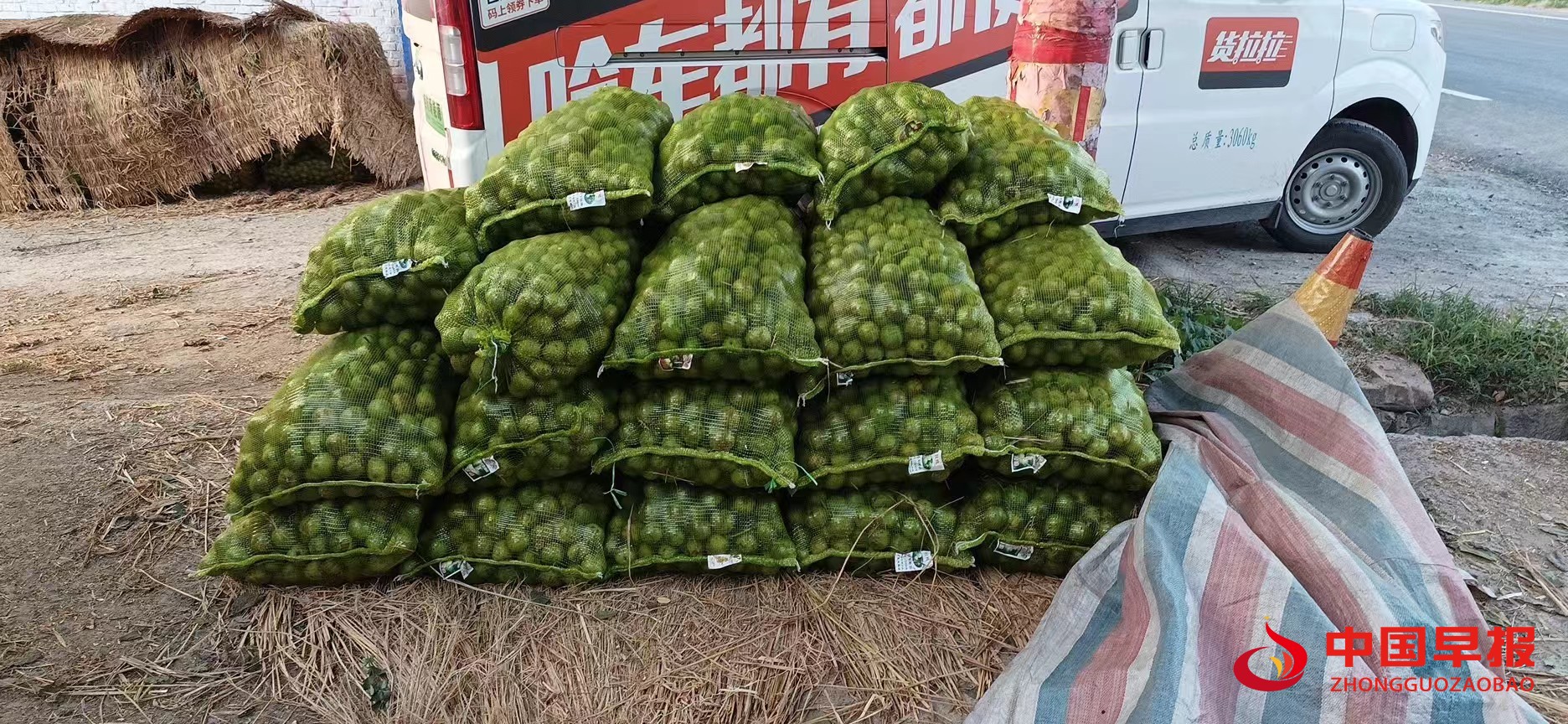 1723795978121975.jpg 图片02.jpg