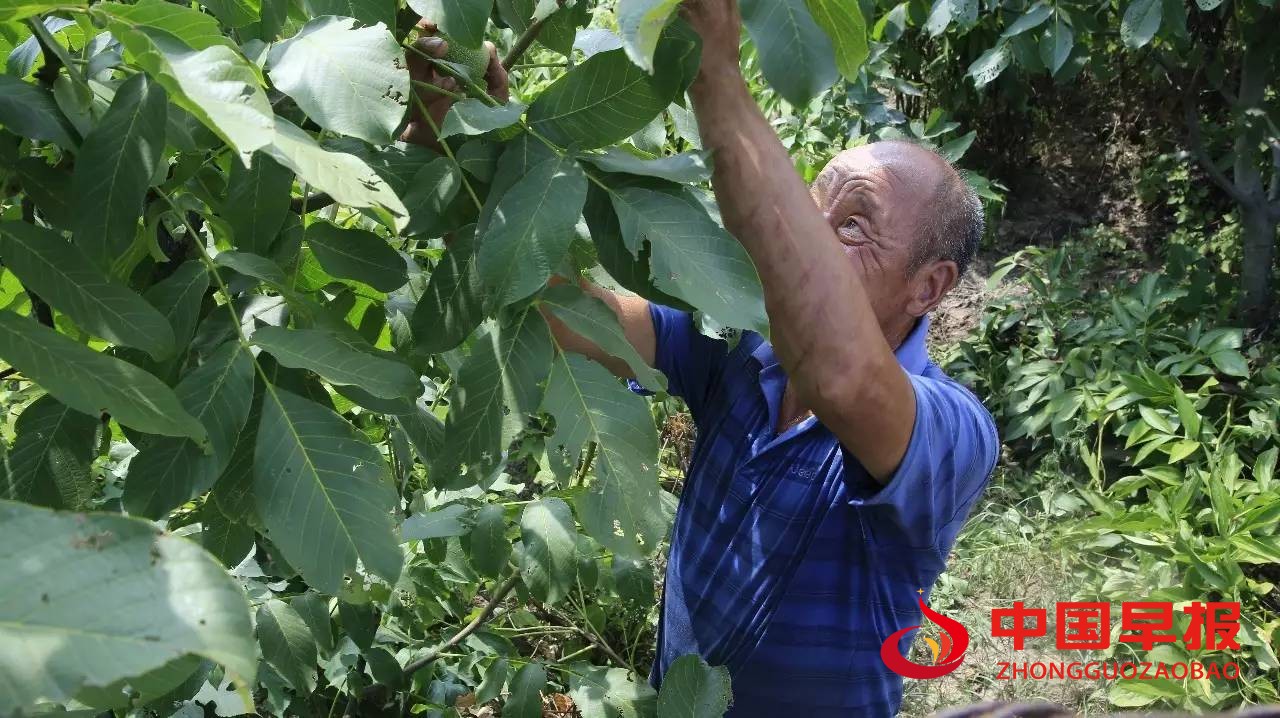 1723796116535825.jpg 图片04.jpg