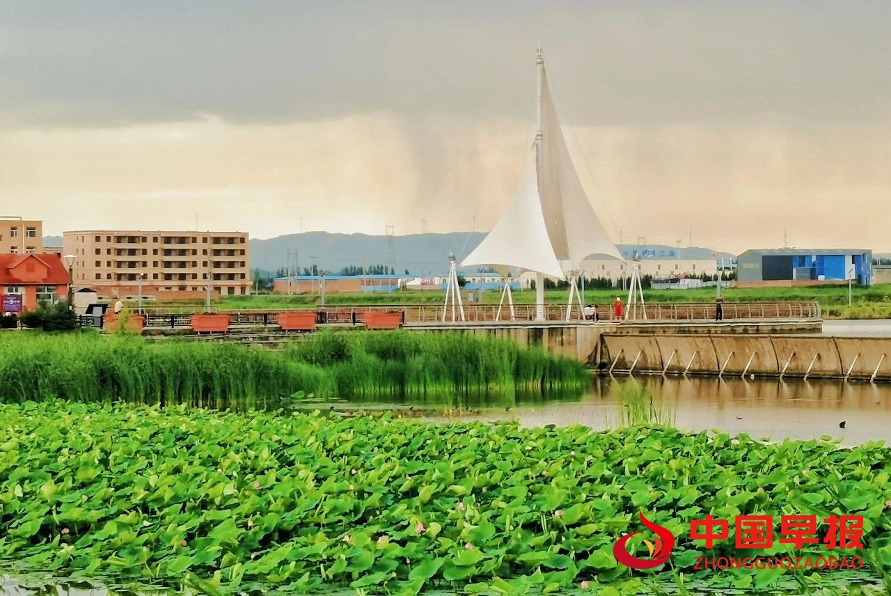 1724118705118591.jpg 图片02.jpg