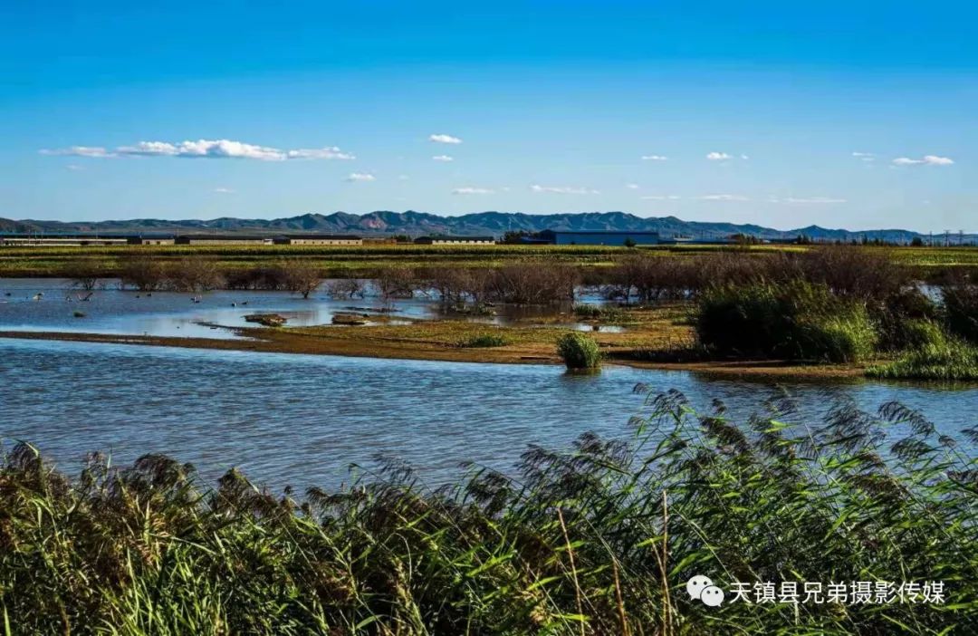 1724118836113055.jpeg 图片04.jpeg