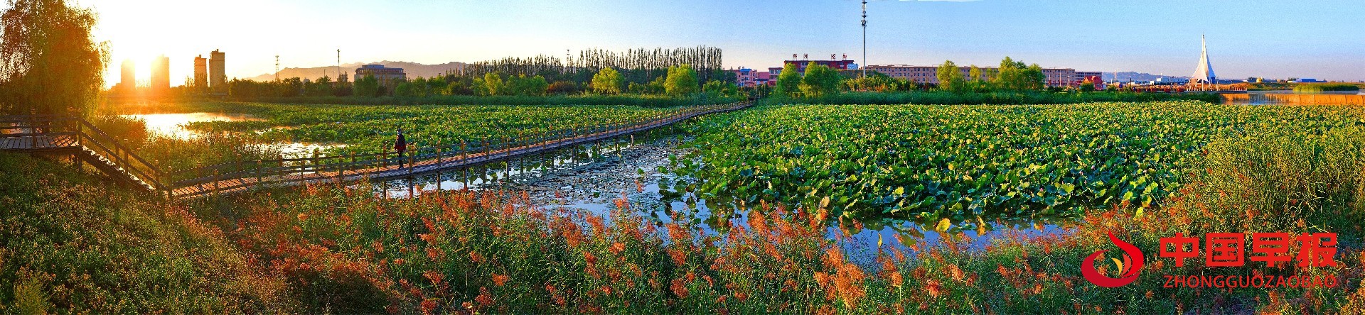 1724118944875881.jpg 图片06.jpg