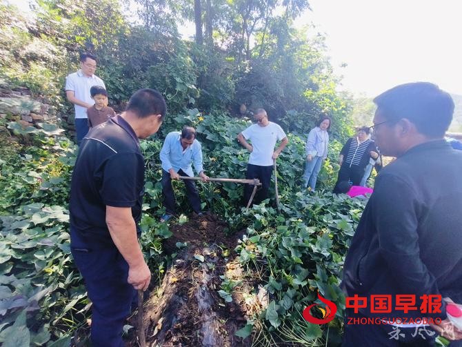 1726954879121133.jpg 1726954879121133.jpg