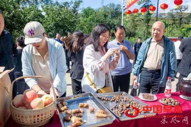 1726954929642251.jpg 1726954929642251.jpg