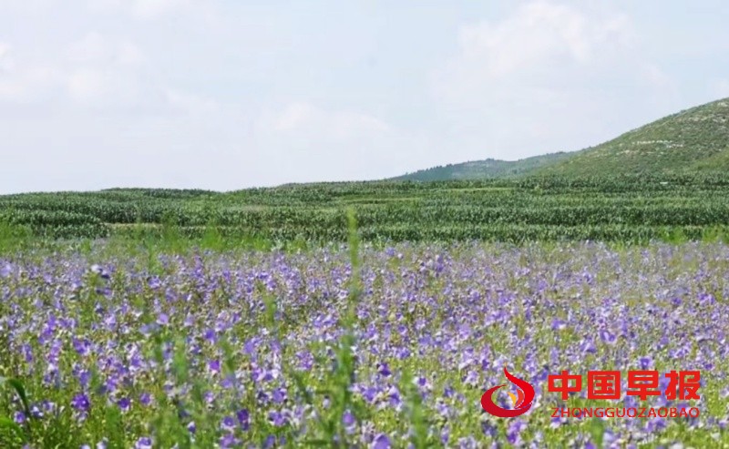 1728898577109064.jpg 微信图片_20241014171744_副本.jpg