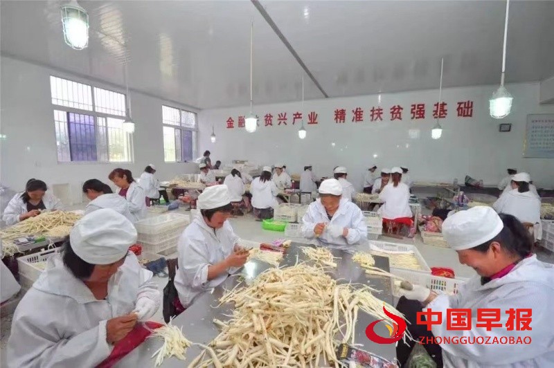 1728898587466164.jpg 微信图片_20241014171747_副本.jpg