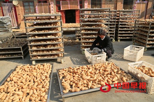 1730273156127353.jpg 微信图片_20241030151715.jpg