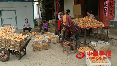 1730273349121354.jpg 微信图片_20241030151749.jpg