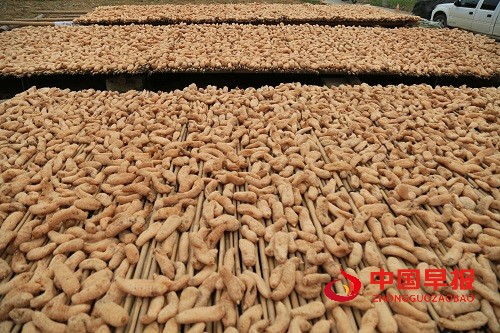 1730273461806696.jpg 微信图片_20241030151756.jpg