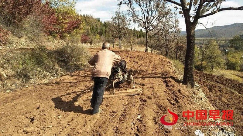 1731840447106661.jpg 640 (1).jpg