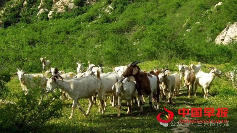 1731840500170978.jpg 640 (2).jpg