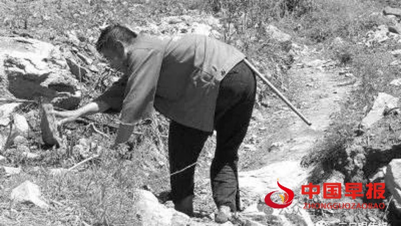 1731840555963070.jpg 640 (3).jpg