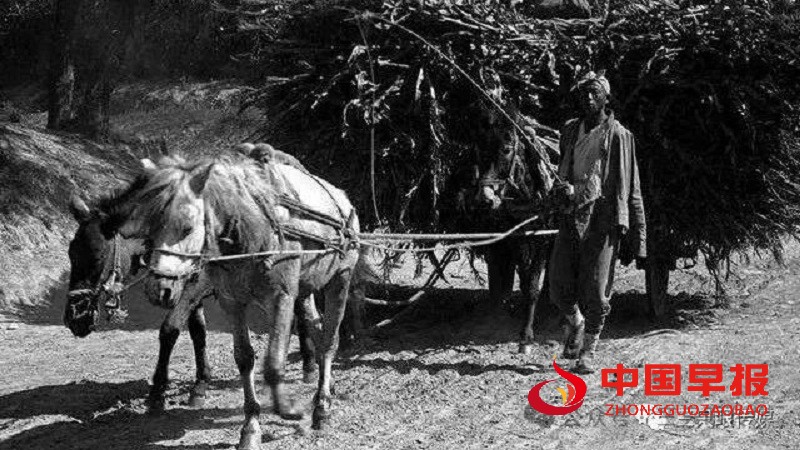 1731840592321473.jpg 640 (4).jpg