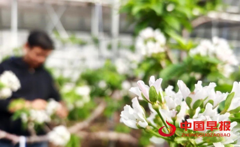 1732115604165798.jpg 640 (3)_副本.jpg